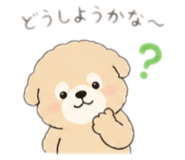 858077241