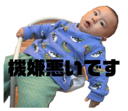 858077442