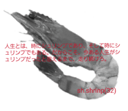 858077633