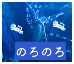 858078012