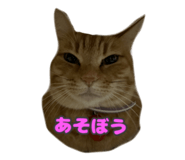 858078093