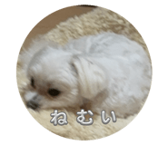 858078450