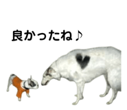 858078570