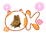 858078715
