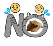 858078716