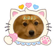 858078720