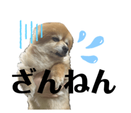 858079397