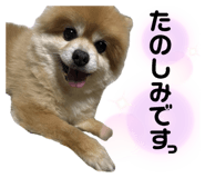 858079401