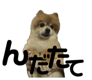 858079403