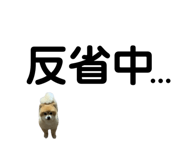858079410