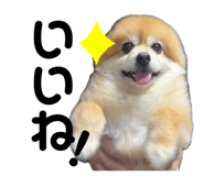 858079411
