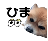 858079415