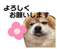 858079421
