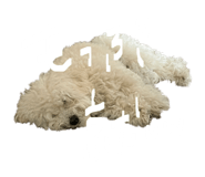 858079626