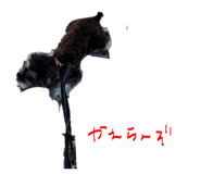858079629