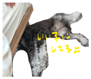 858079631