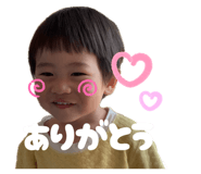 858080016
