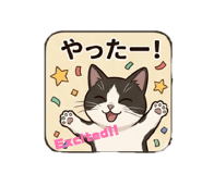 858080052