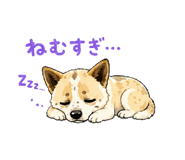 858080059