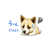 858080061