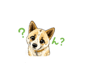 858080065