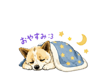 858080068