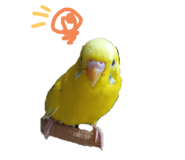 858080377