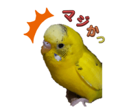 858080381