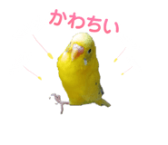 858080382