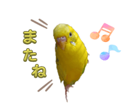 858080386