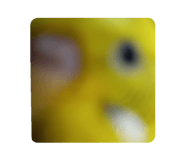 858080387