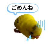 858080389