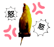 858080390