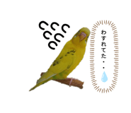 858080391