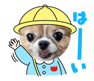 858080645