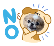 858080647