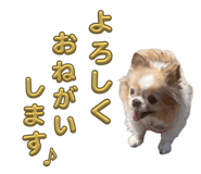 858080648