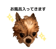 858080654