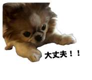 858080660