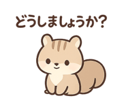 858080750
