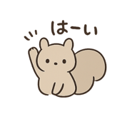 858080753