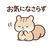 858080757