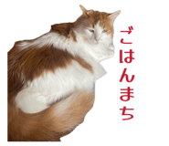 858081052
