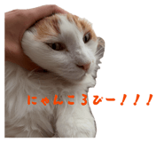 858081054