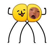 858081243