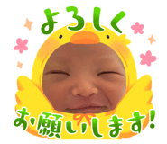858081246