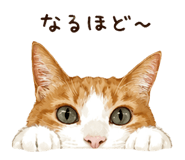 858081930
