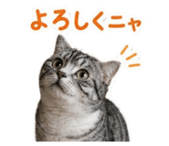 858082072