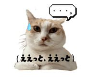 858082442