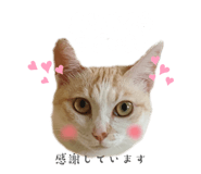 858082443